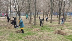 В Новочеркасске продолжается проведение субботников