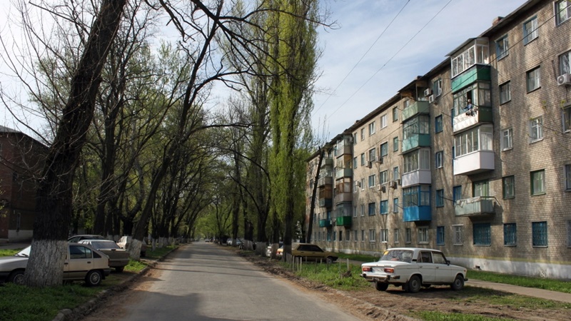 В Новочеркасске опиловкой деревьев на улице Гвардейской займется предприниматель из Яновки