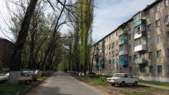 В Новочеркасске опиловкой деревьев на улице Гвардейской займется предприниматель из Яновки
