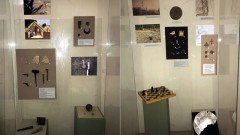Жители Новочеркасска могут посетить выставку археологических находок