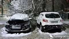 На проспекте Баклановском в Новочеркасске упавшее дерево повредило сразу два автомобиля