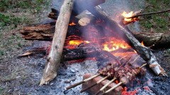 Житель Новочеркасска ударил друга ножом во время жарки мяса и получил условный срок