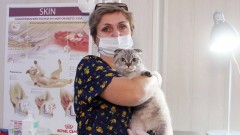 Жители Новочеркасска 25 ноября могут стерилизовать домашних животных по льготной цене