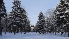 Новочеркасск подтвердил свое участие в федеральном проекте по очистке воздуха 