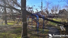 Новочеркасские коммунальные службы устраняют последствия сильного ветра