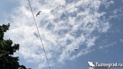 В Новочеркасске в первые дни осени снизится жара