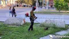 В Новочеркасске начали косить траву