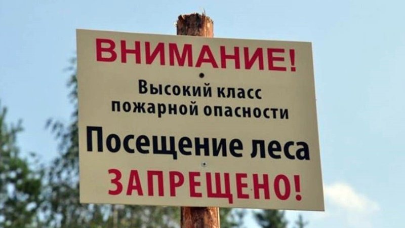 В Ростовской области продлили режим ограничения пребывания в лесах