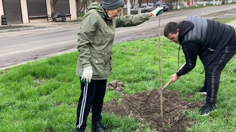 В память об участниках Великой Отечественной войны в парке Элетровозостроителей в Новочеркасске появилась аллея
