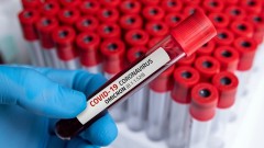 В Ростовской области омикрон-штамм коронавируса стал доминирующим