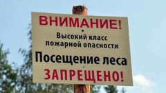 В Ростовской области продлили режим ограниченного пребывания в лесах