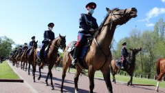 Через Новочеркасск в мае пройдет конный переход казаков