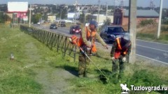 В Новочеркасске косить траву в 2022 году будет местный предприниматель