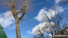 В Новочеркасске потеплеет до +9С