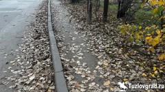 Врио главы Новочеркасска Николай Толмачев пообещал отремонтировать и расширить тротуар по улице Каштанова