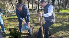 В Новочеркасске провели акцию «Сад памяти», которую возглавил глава администрации Юрий Лысенко
