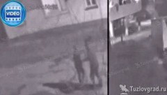 Полицейские Новочеркасска задержали подозреваемого в изнасиловании, которого соцсети успели окрестить маньяком