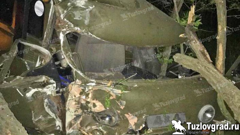 На трассе Новочеркасск – Донской погиб водитель, врезавшись в дерево