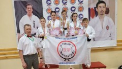 Новочеркасские каратисты успешно выступили на областном турнире по всестилевому каратэ