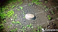 В Новочеркасске во дворе частного дома нашли крупнокалиберный не стреляный снаряд