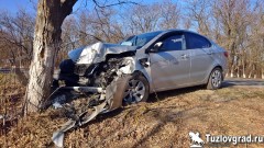 В Новочеркасске водитель такси уснул за рулем и врезался в дерево