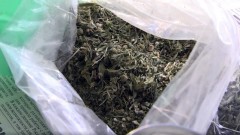 Новочеркасские полицейские поймали мужчину, подозреваемого в хранении марихуаны